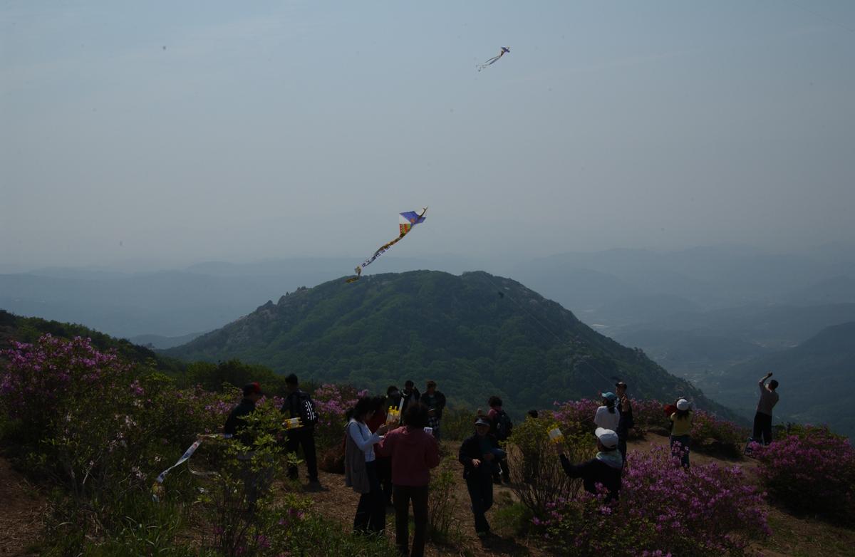 황매산철죽축제