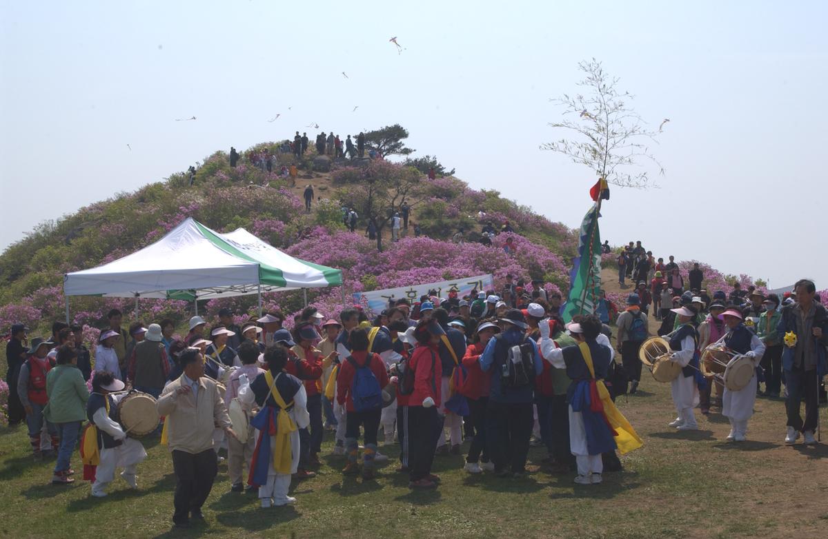 황매산철죽축제