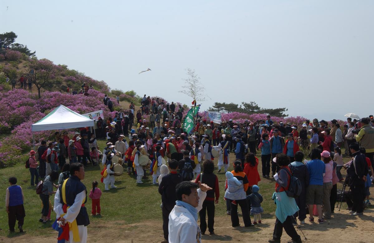 황매산철죽축제