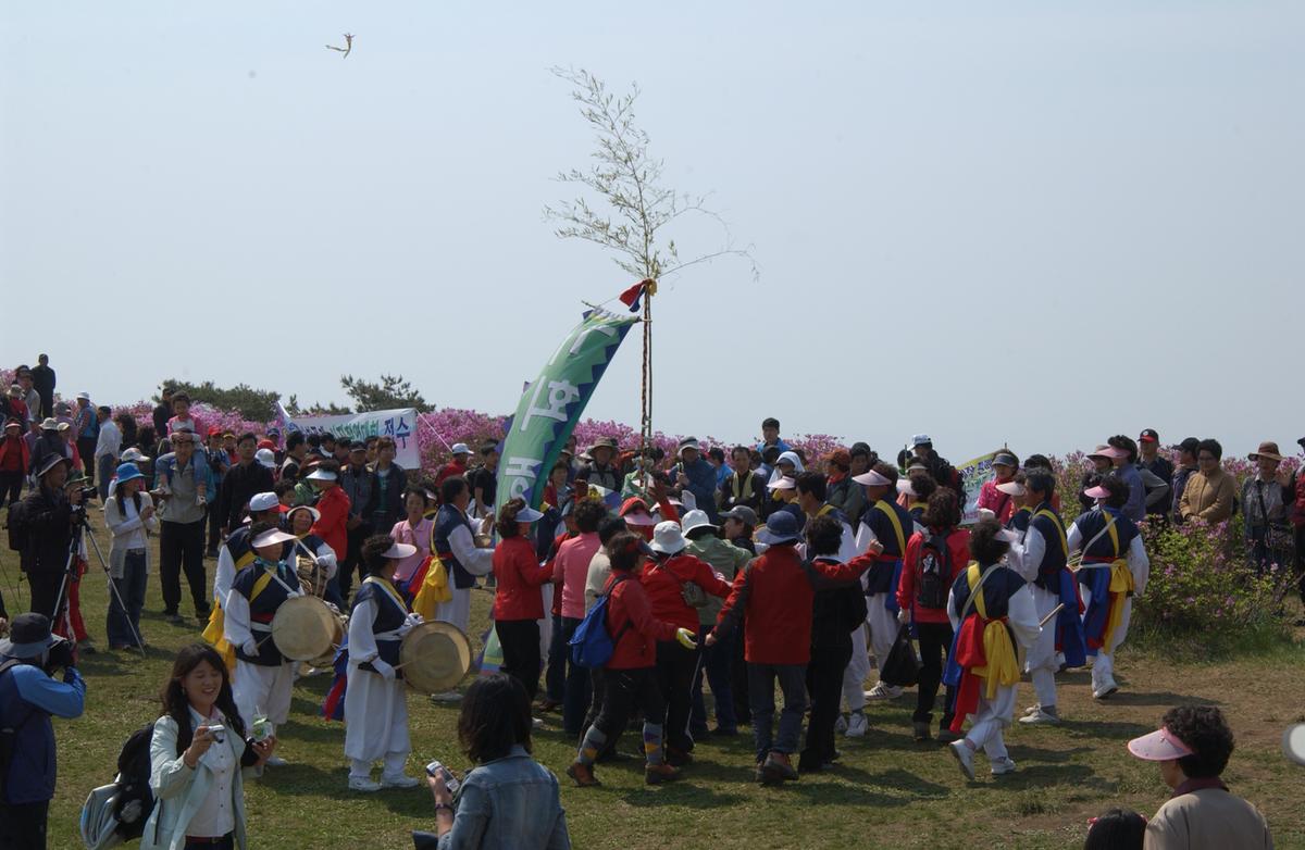 황매산철죽축제