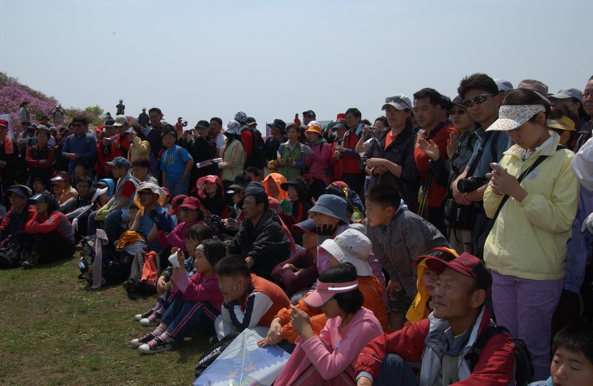 황매산철죽축제