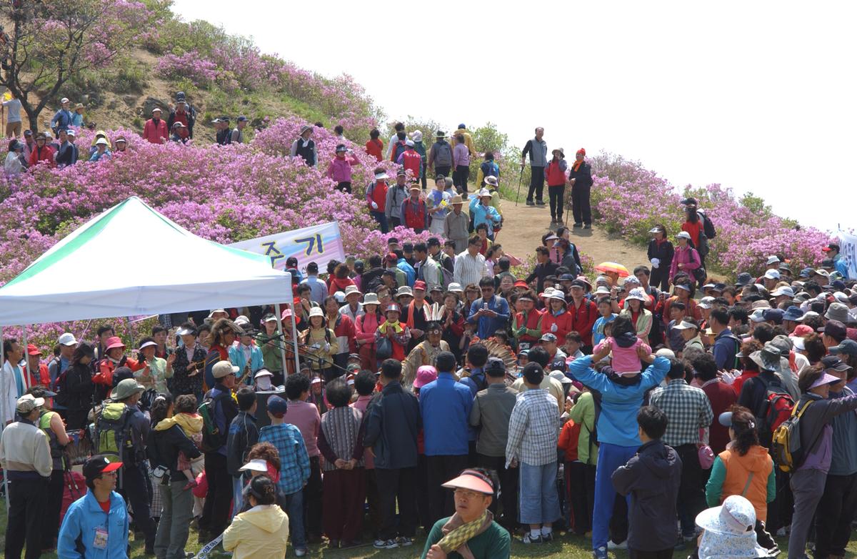 황매산철죽축제