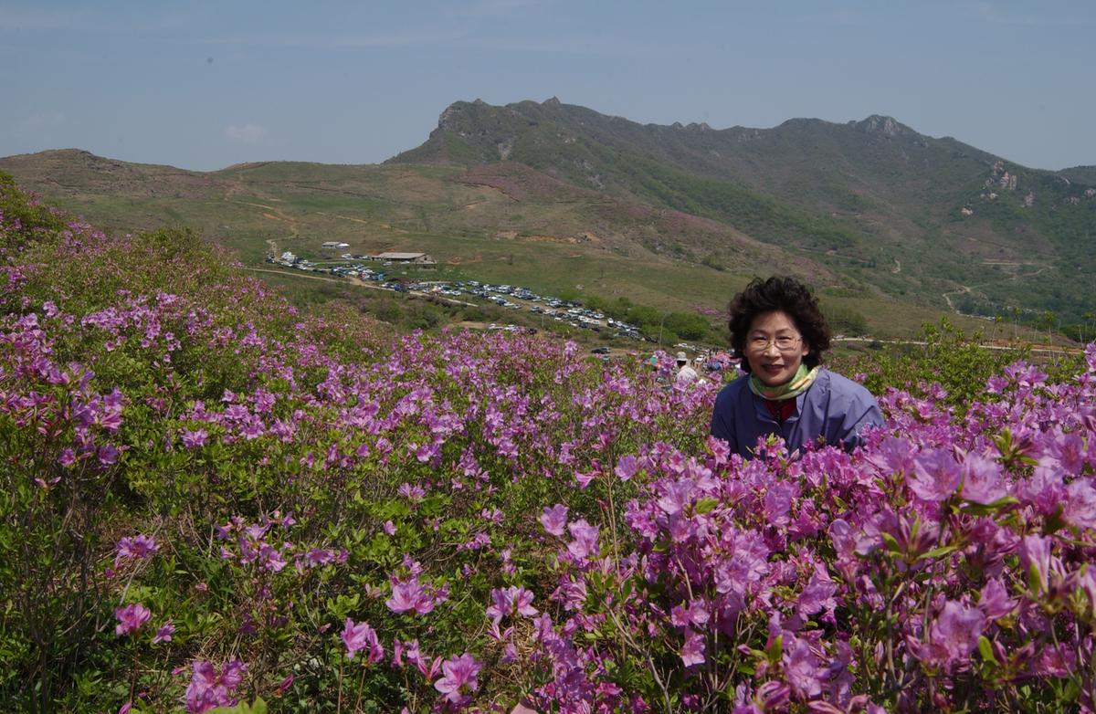 황매산철죽축제