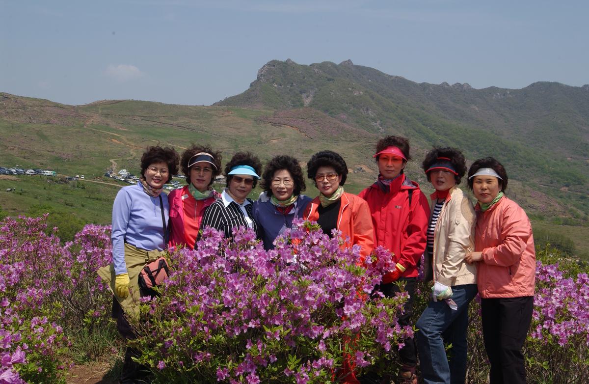 황매산철죽축제