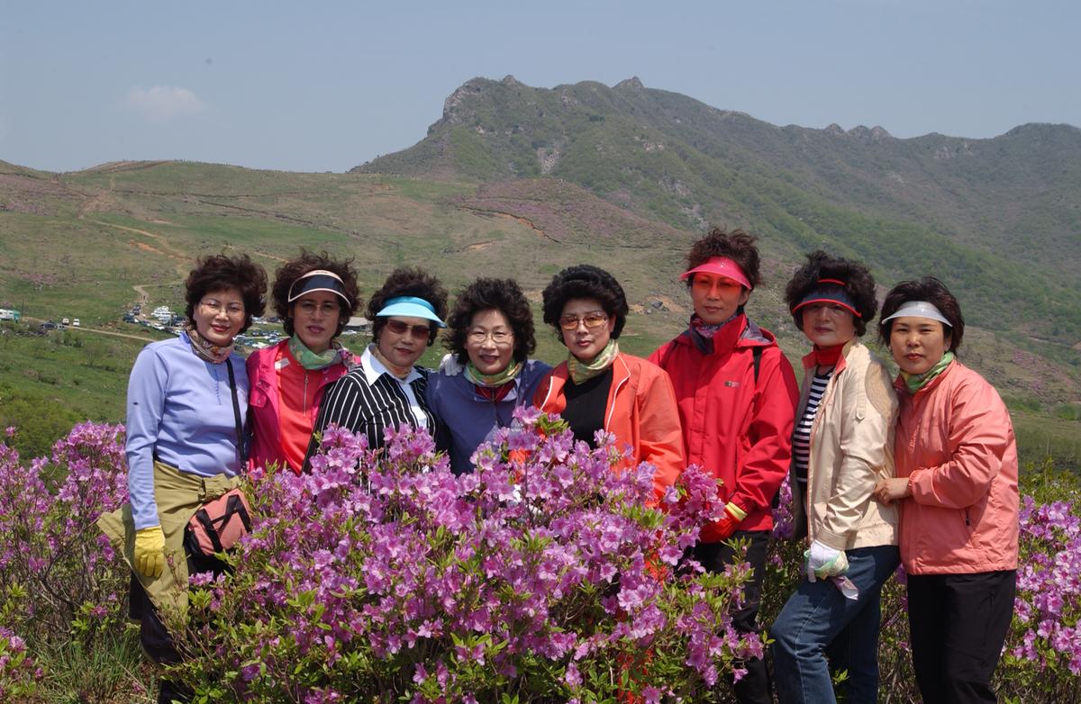 황매산철죽축제