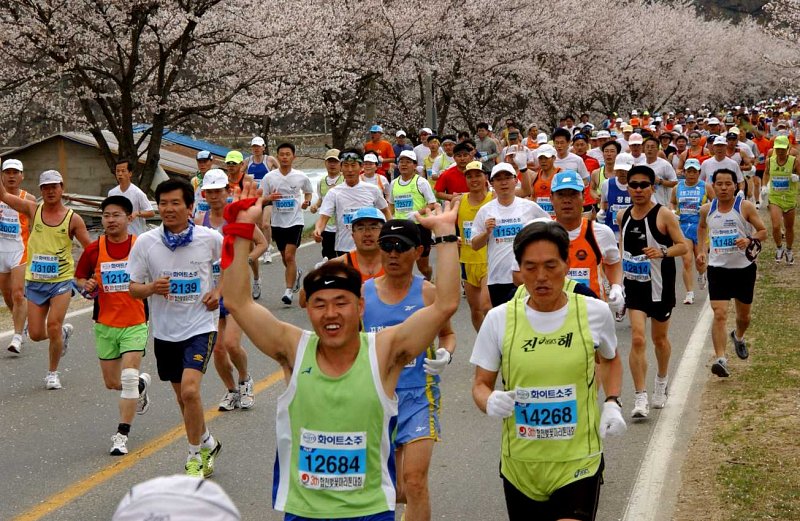 합천벛꽃마라톤