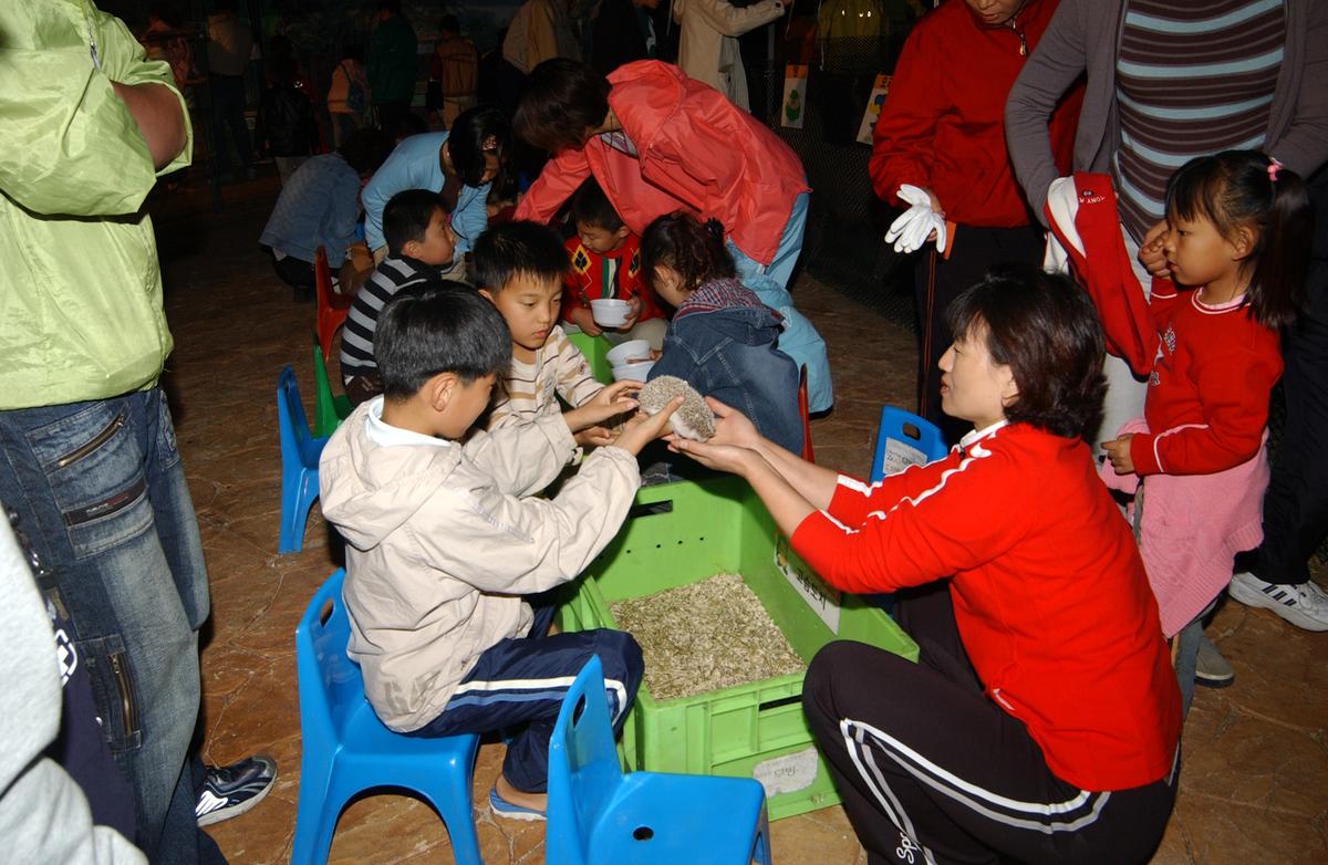 대야문화제전(2)7