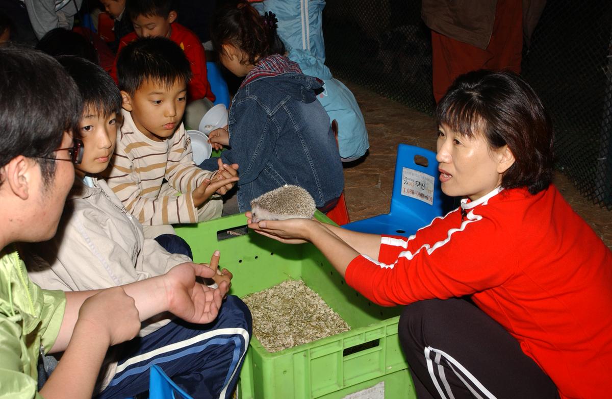 대야문화제전(2)8