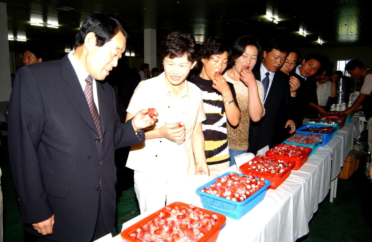 합천황강아이스딸기시식회