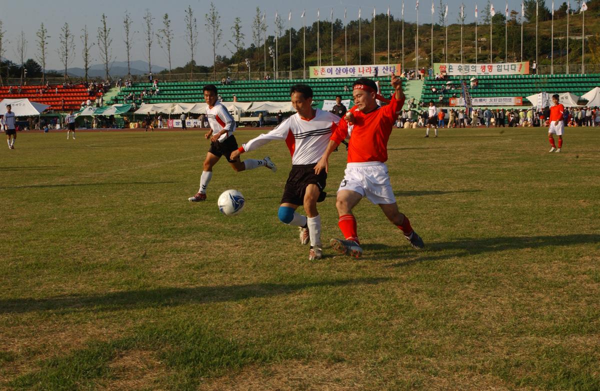 대야문화제 본제(2)18