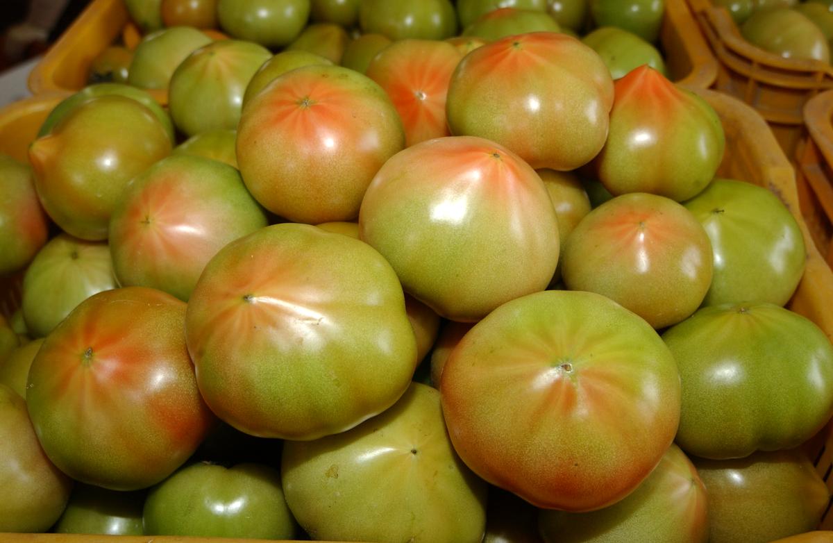 영화 태극기휘날리며 세트장11