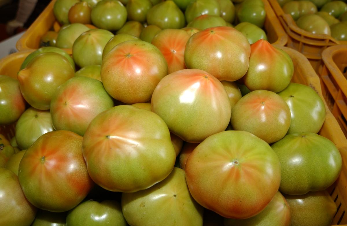 영화 태극기휘날리며 세트장12