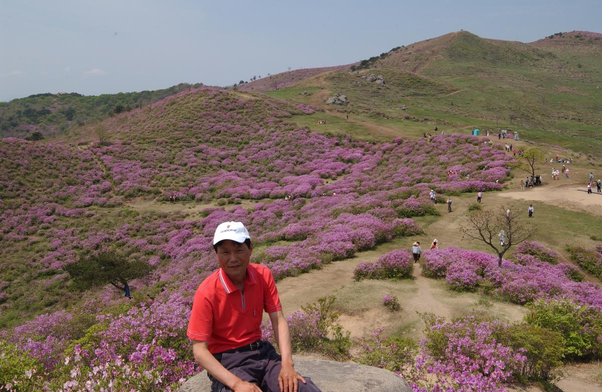 2006철쭉사진