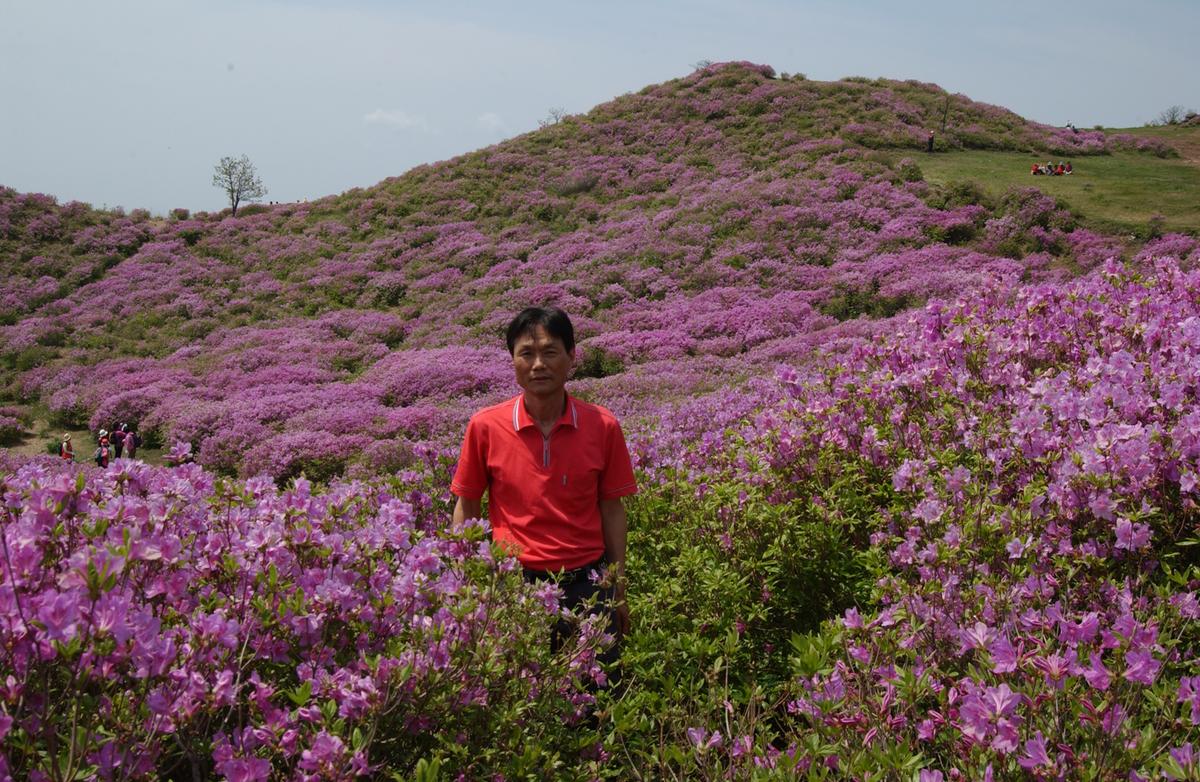 2006철쭉사진