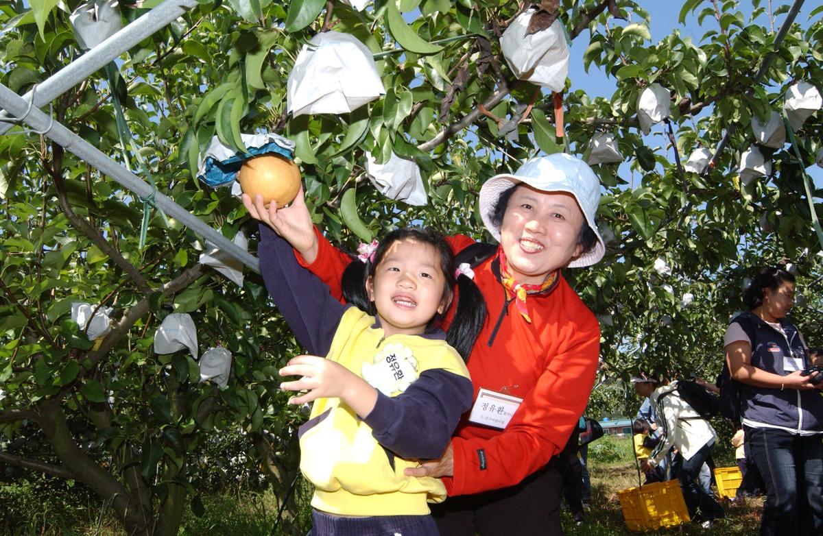 2006어린이과수원체험