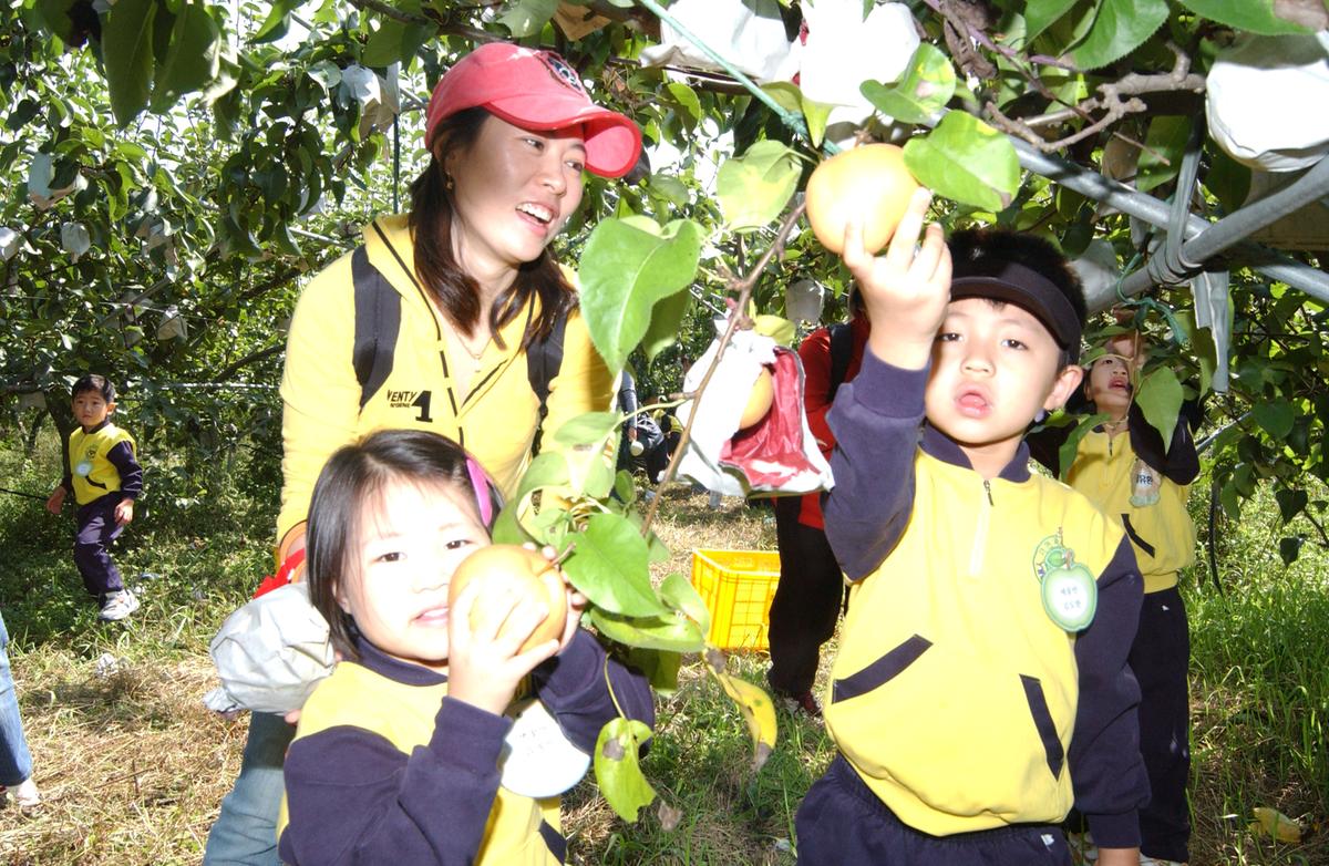 2006어린이과수원체험