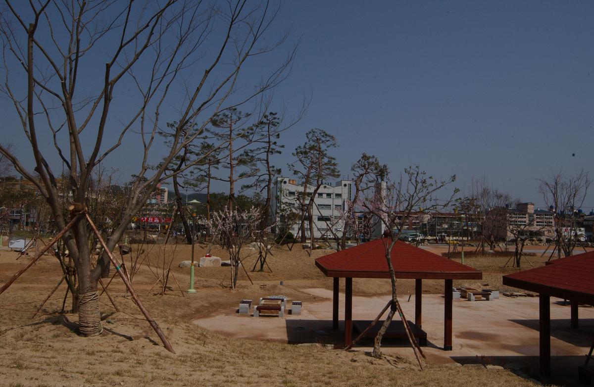 합천백리 벚꽃길(1)26