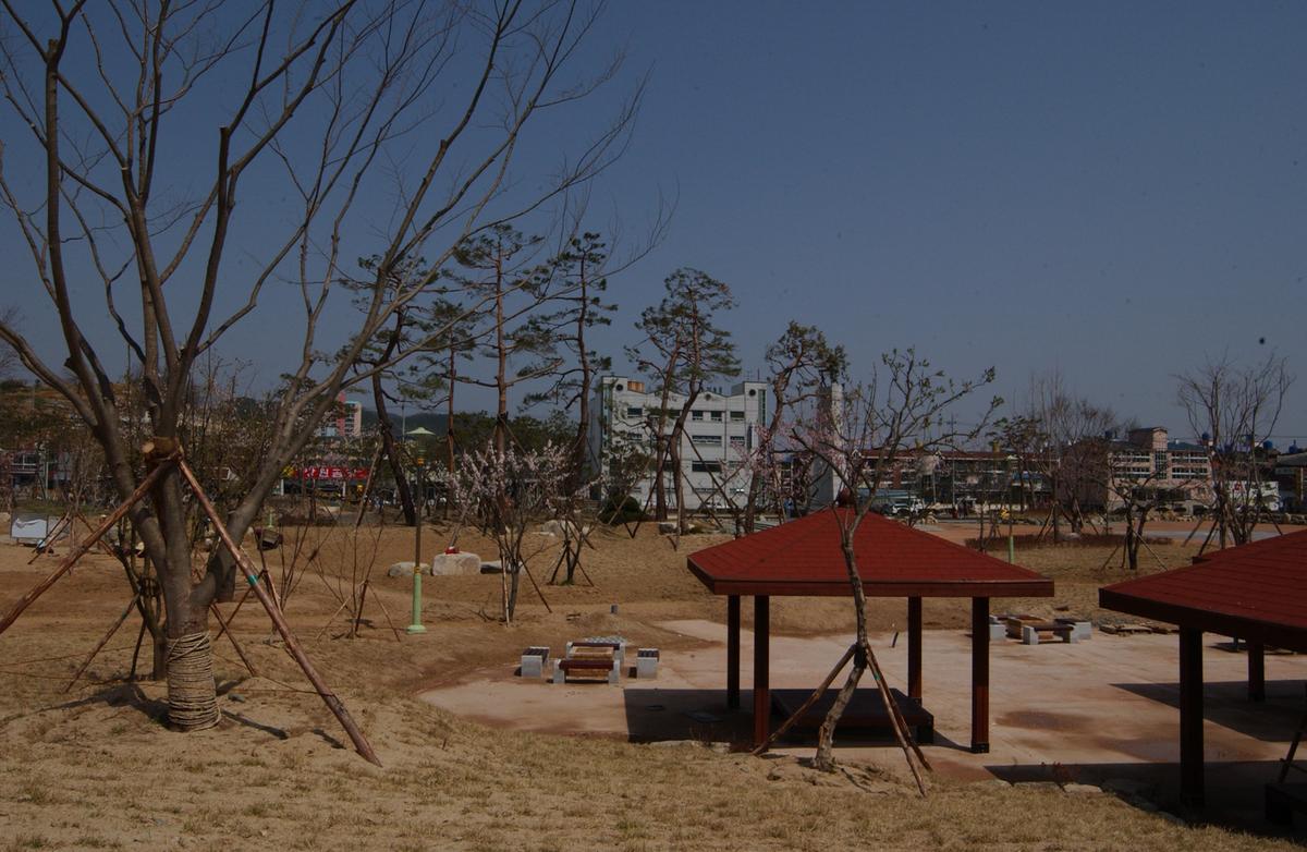 합천백리 벚꽃길(1)27