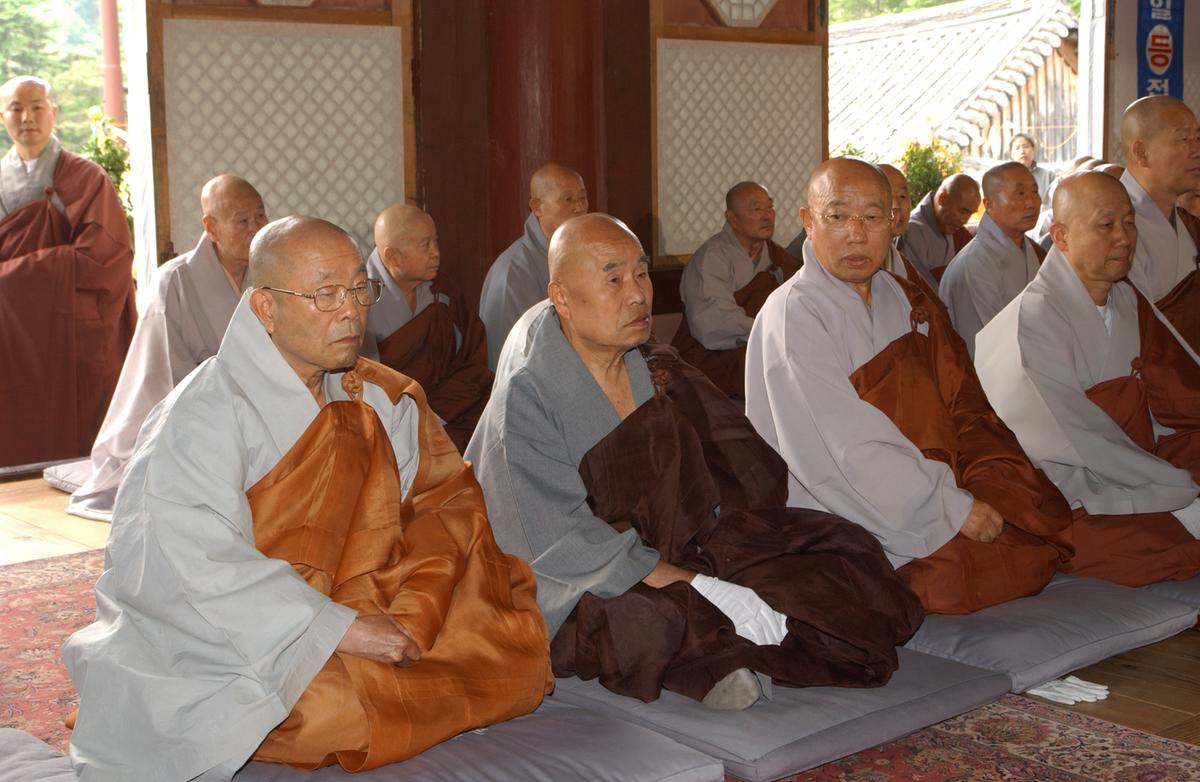 합천백리 벚꽃길(2)4