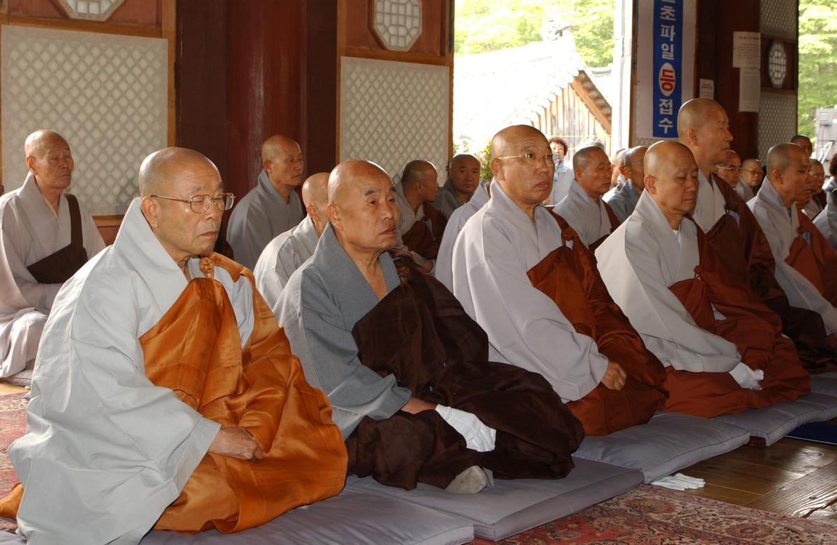 합천백리 벚꽃길(2)5