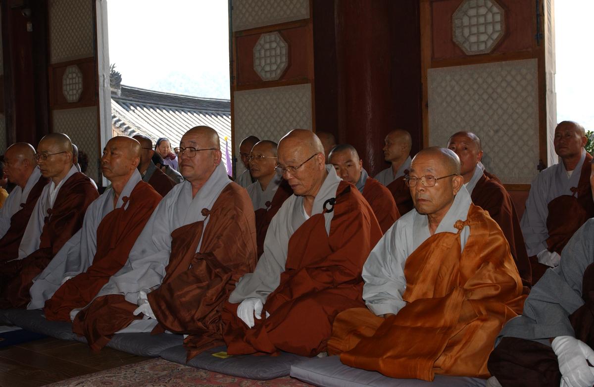 합천백리 벚꽃길(2)9