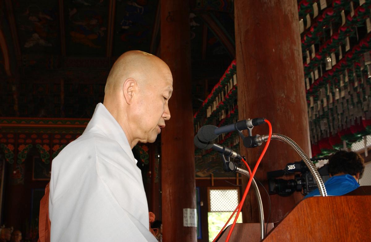 합천백리 벚꽃길(2)10