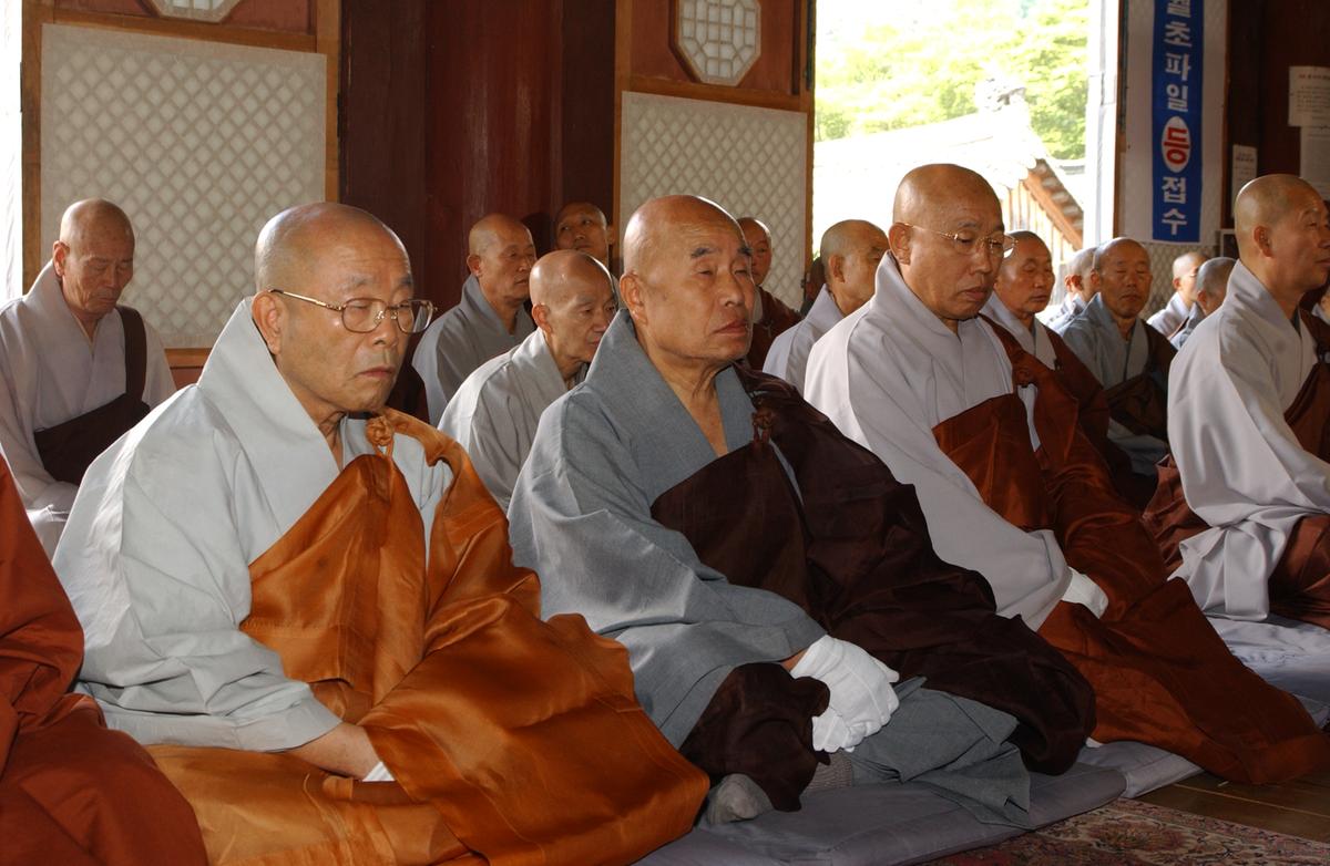 합천백리 벚꽃길(2)12