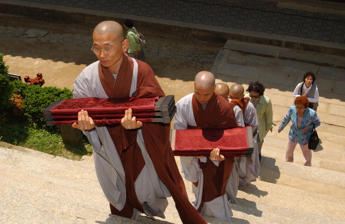 합천백리 벚꽃길(2)20