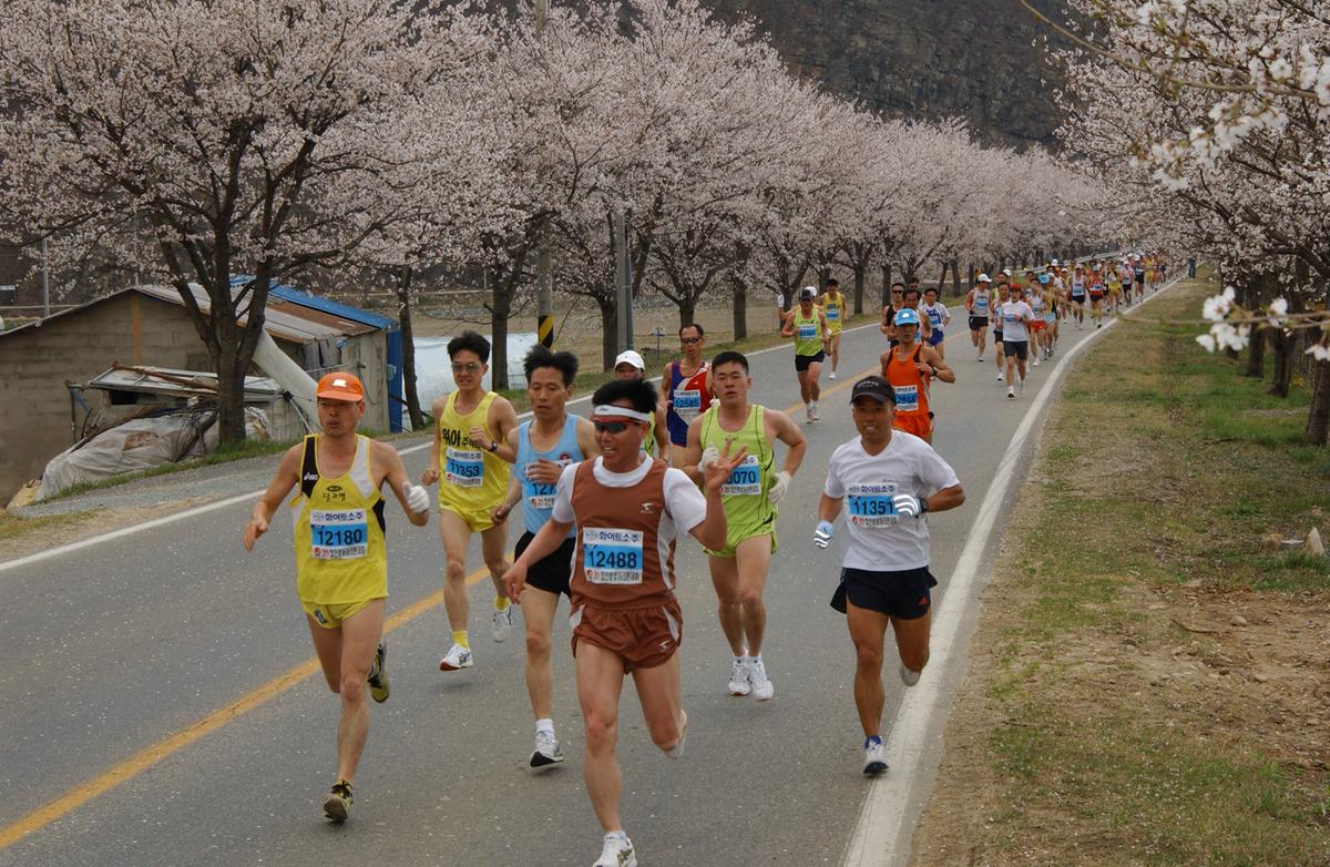 2004년 제3회 합천 벚꽃 마라톤대회(1-2)11