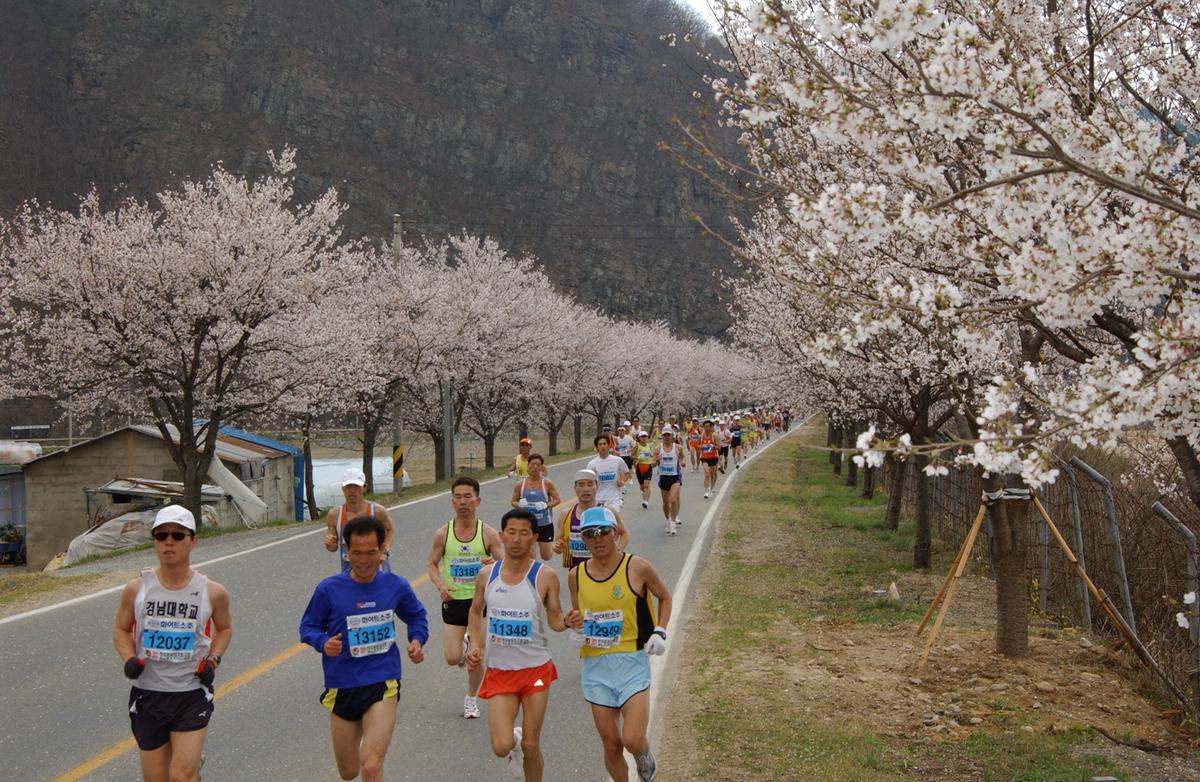 2004년 제3회 합천 벚꽃 마라톤대회(1-2)12