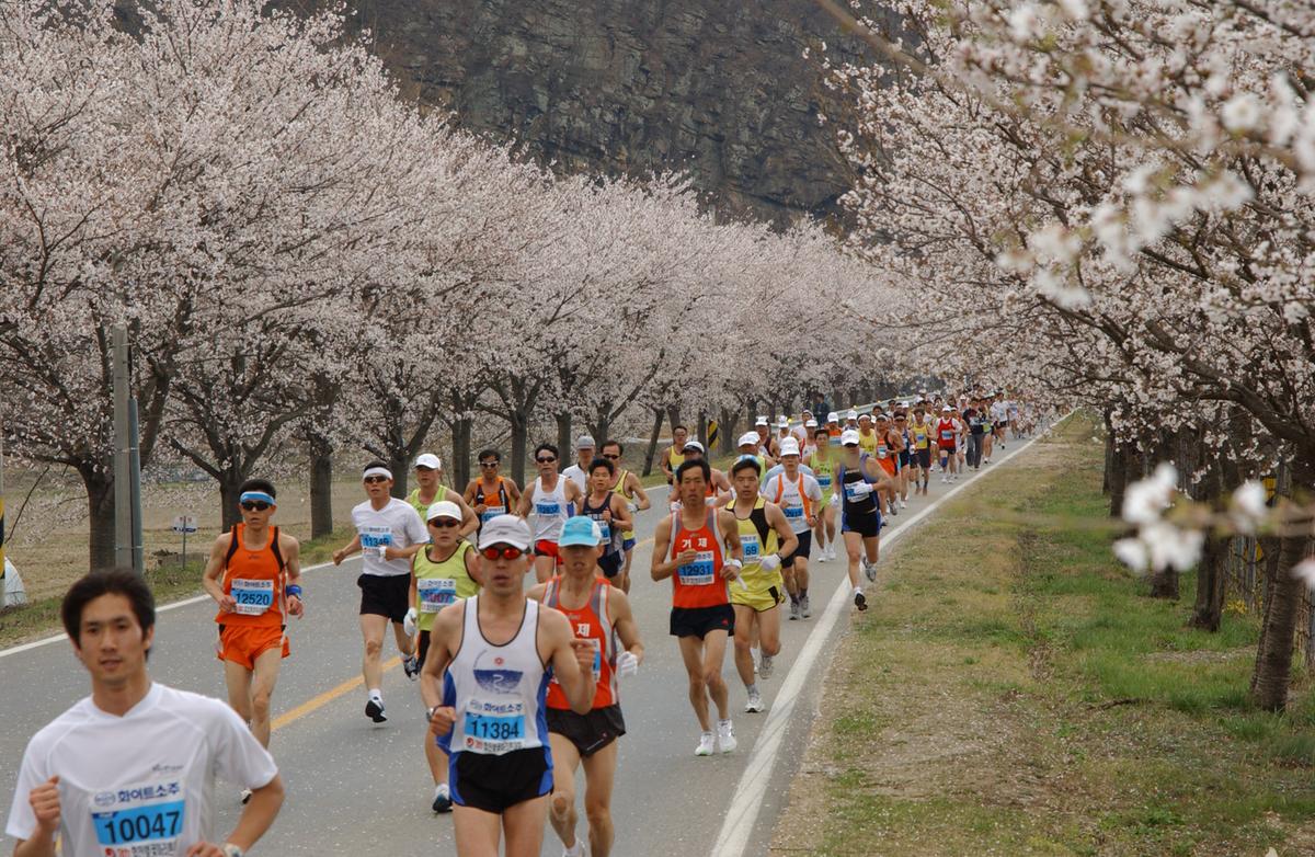 2004년 제3회 합천 벚꽃 마라톤대회(1-2)13
