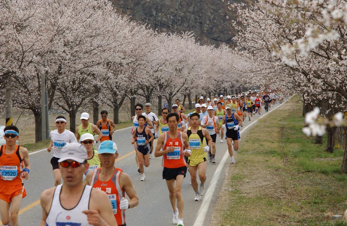 2004년 제3회 합천 벚꽃 마라톤대회(1-2)14