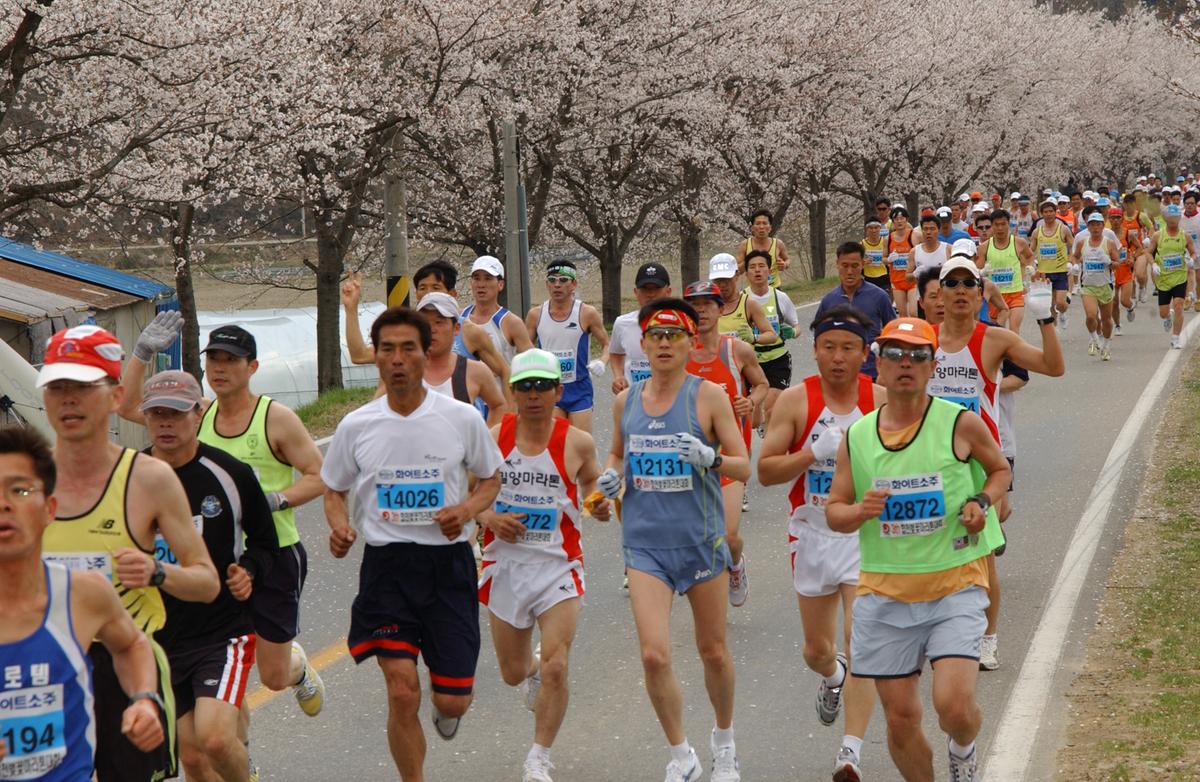 2004년 제3회 합천 벚꽃 마라톤대회(1-2)16