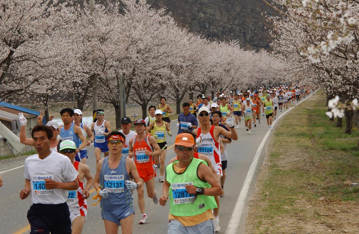 2004년 제3회 합천 벚꽃 마라톤대회(1-2)17