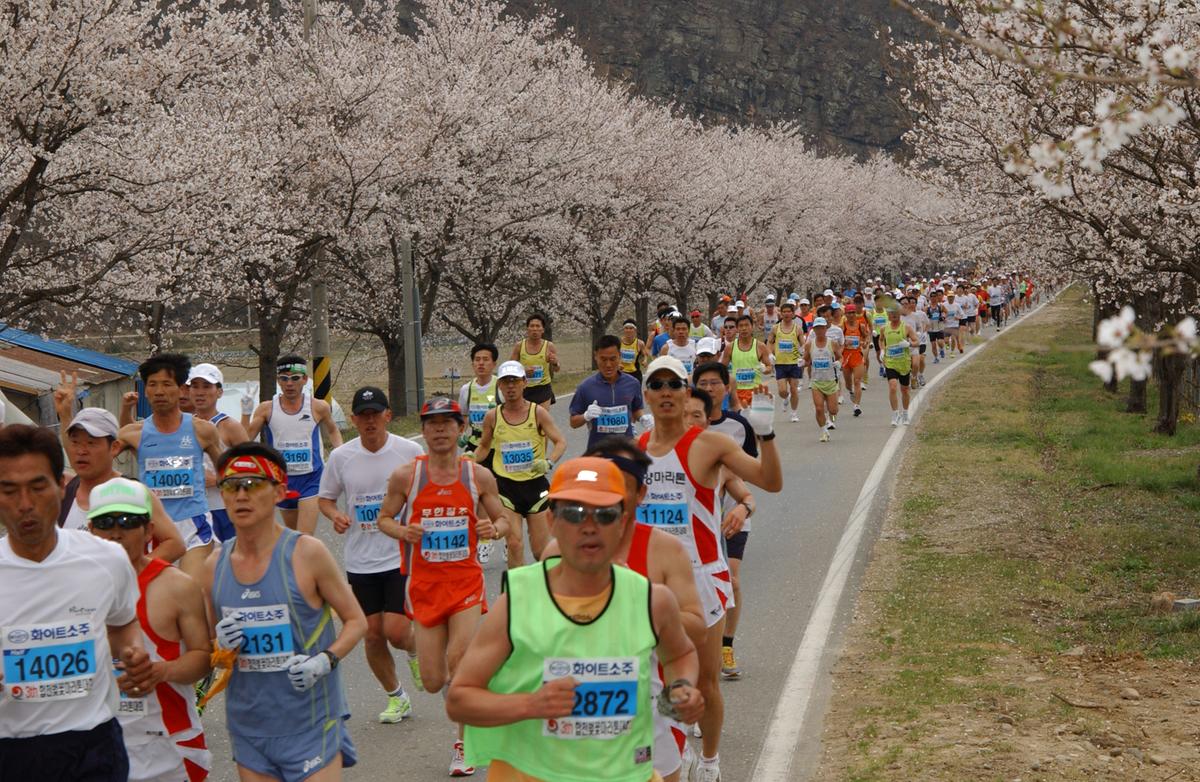 2004년 제3회 합천 벚꽃 마라톤대회(1-2)18