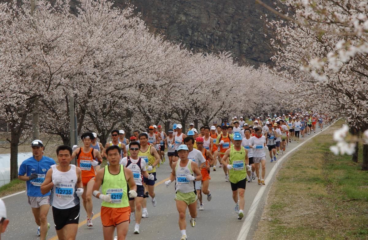 2004년 제3회 합천 벚꽃 마라톤대회(1-2)19