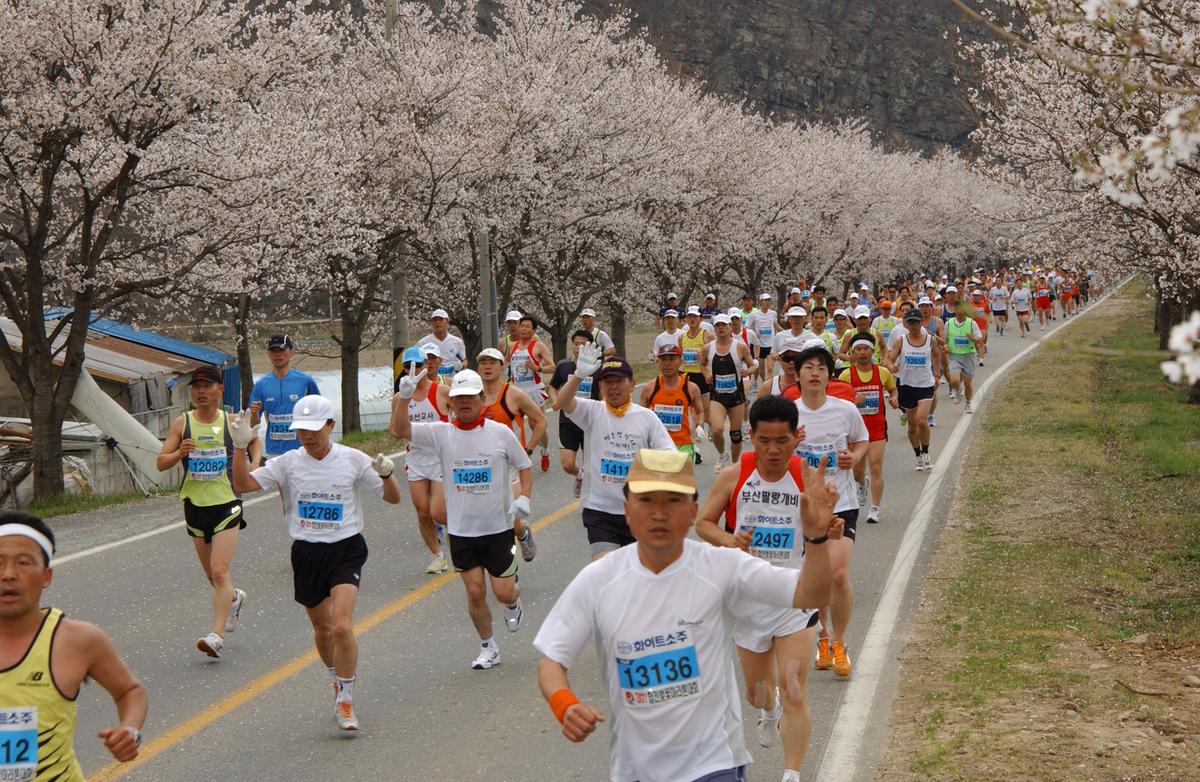 2004년 제3회 합천 벚꽃 마라톤대회(1-2)21