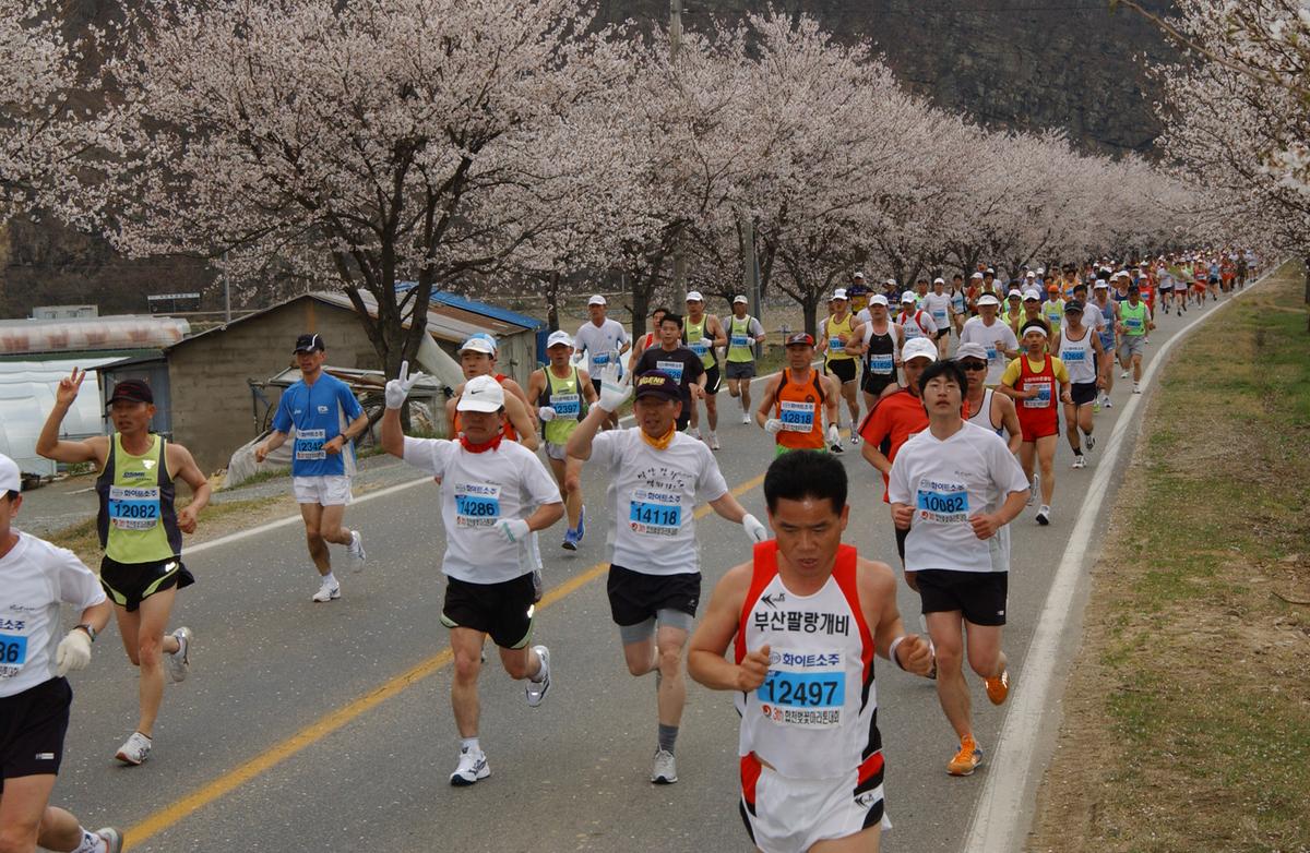 2004년 제3회 합천 벚꽃 마라톤대회(1-2)22