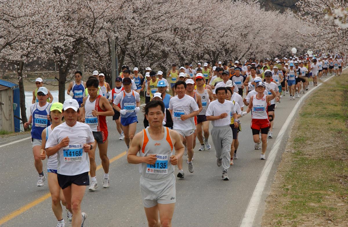 2004년 제3회 합천 벚꽃 마라톤대회(1-2)29
