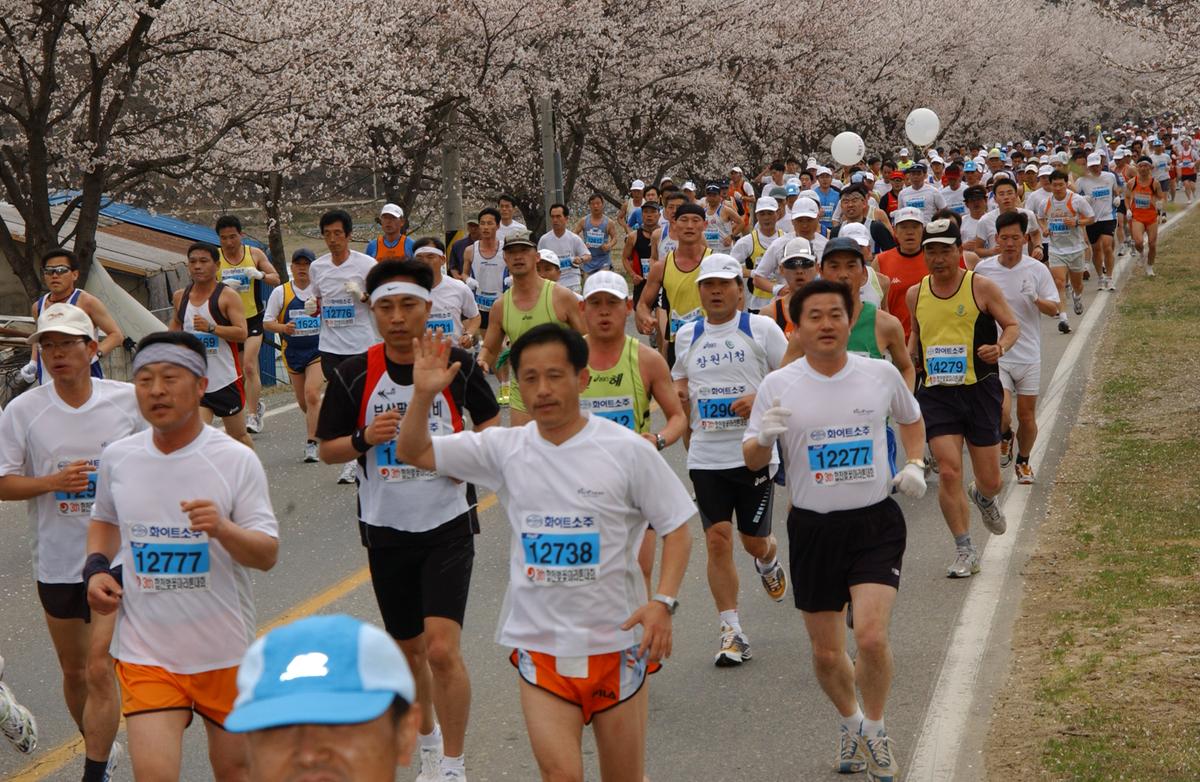 2004년 제3회 합천 벚꽃 마라톤대회(1-3)3