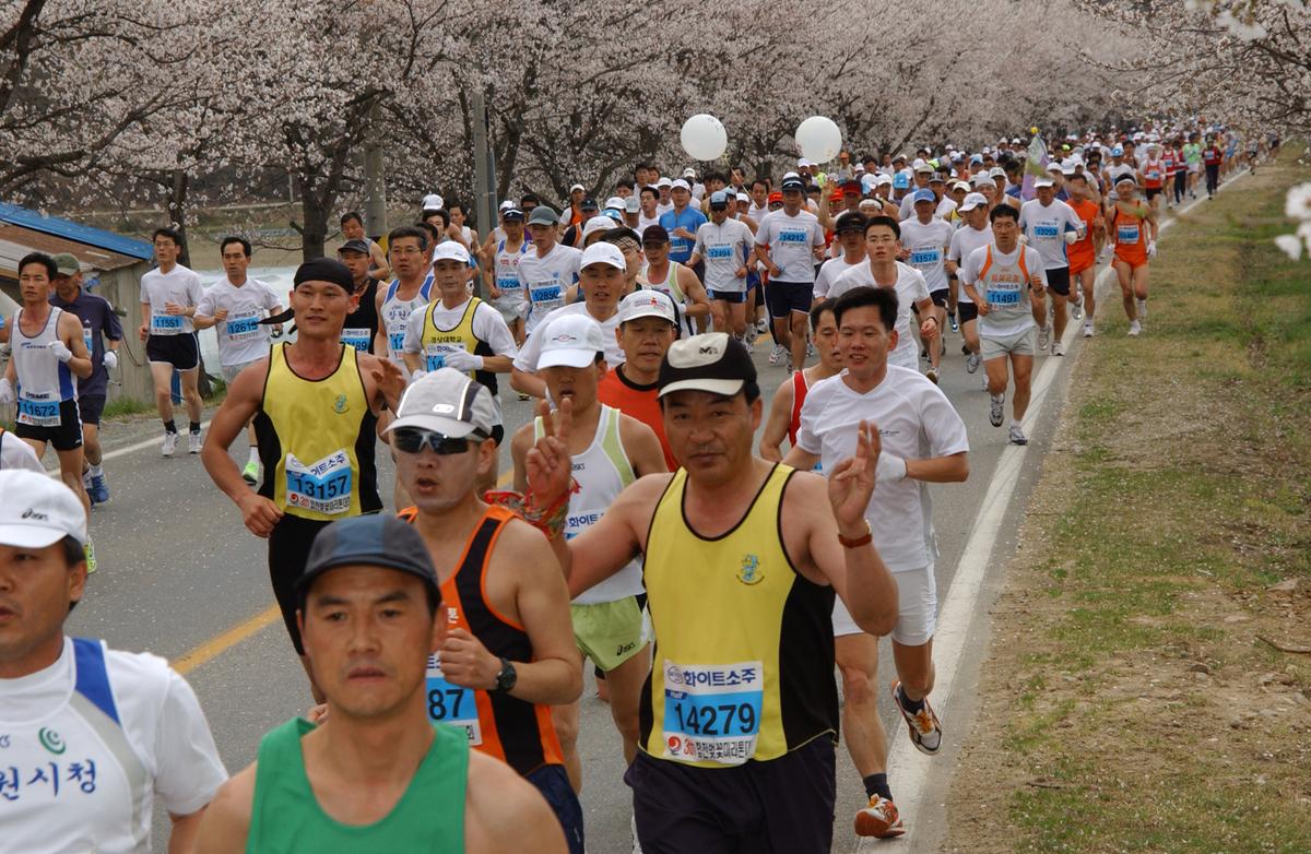 2004년 제3회 합천 벚꽃 마라톤대회(1-3)4