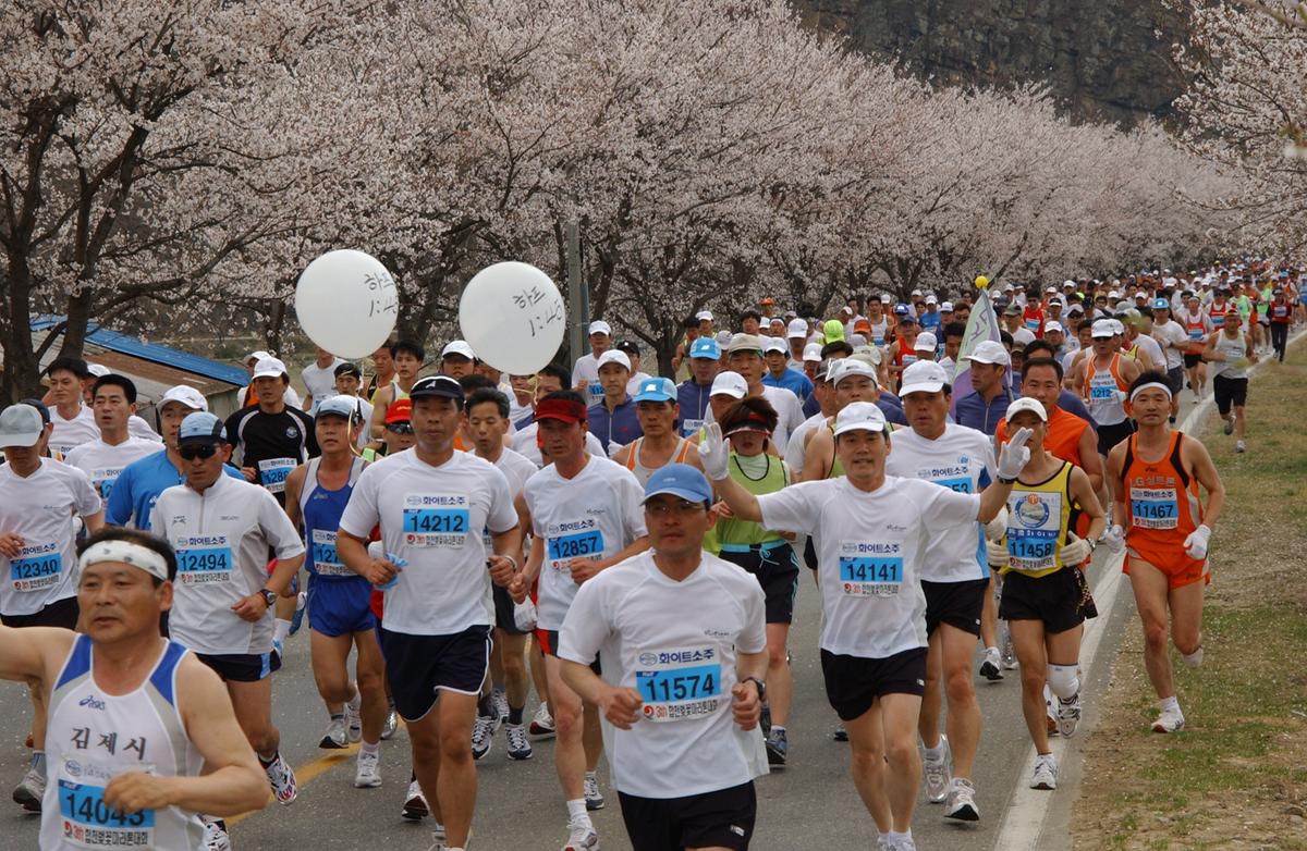 2004년 제3회 합천 벚꽃 마라톤대회(1-3)6
