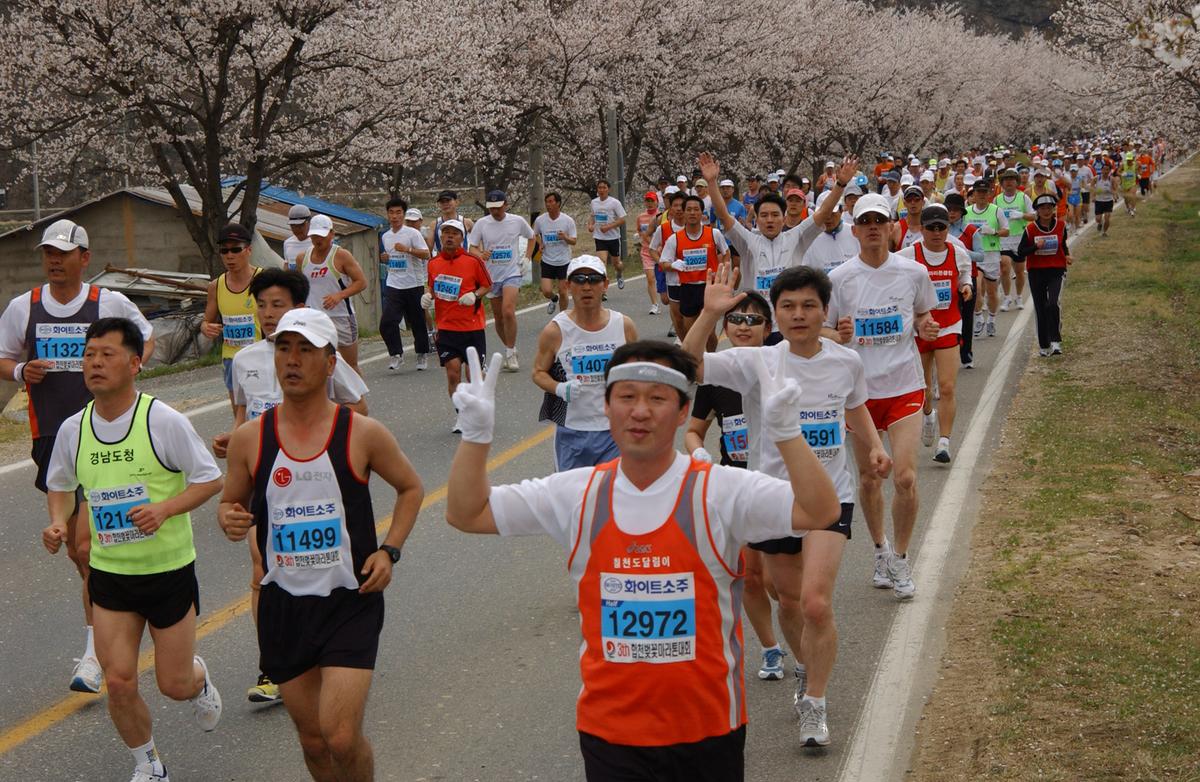 2004년 제3회 합천 벚꽃 마라톤대회(1-3)9
