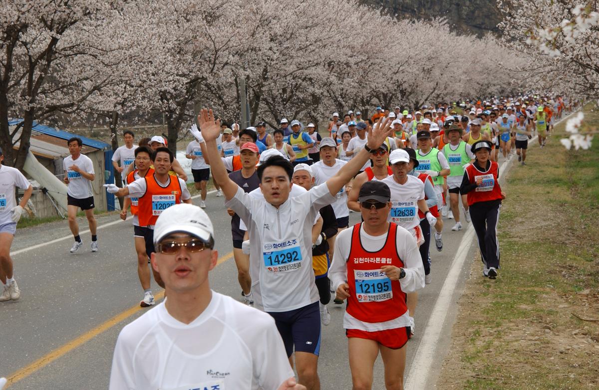 2004년 제3회 합천 벚꽃 마라톤대회(1-3)10