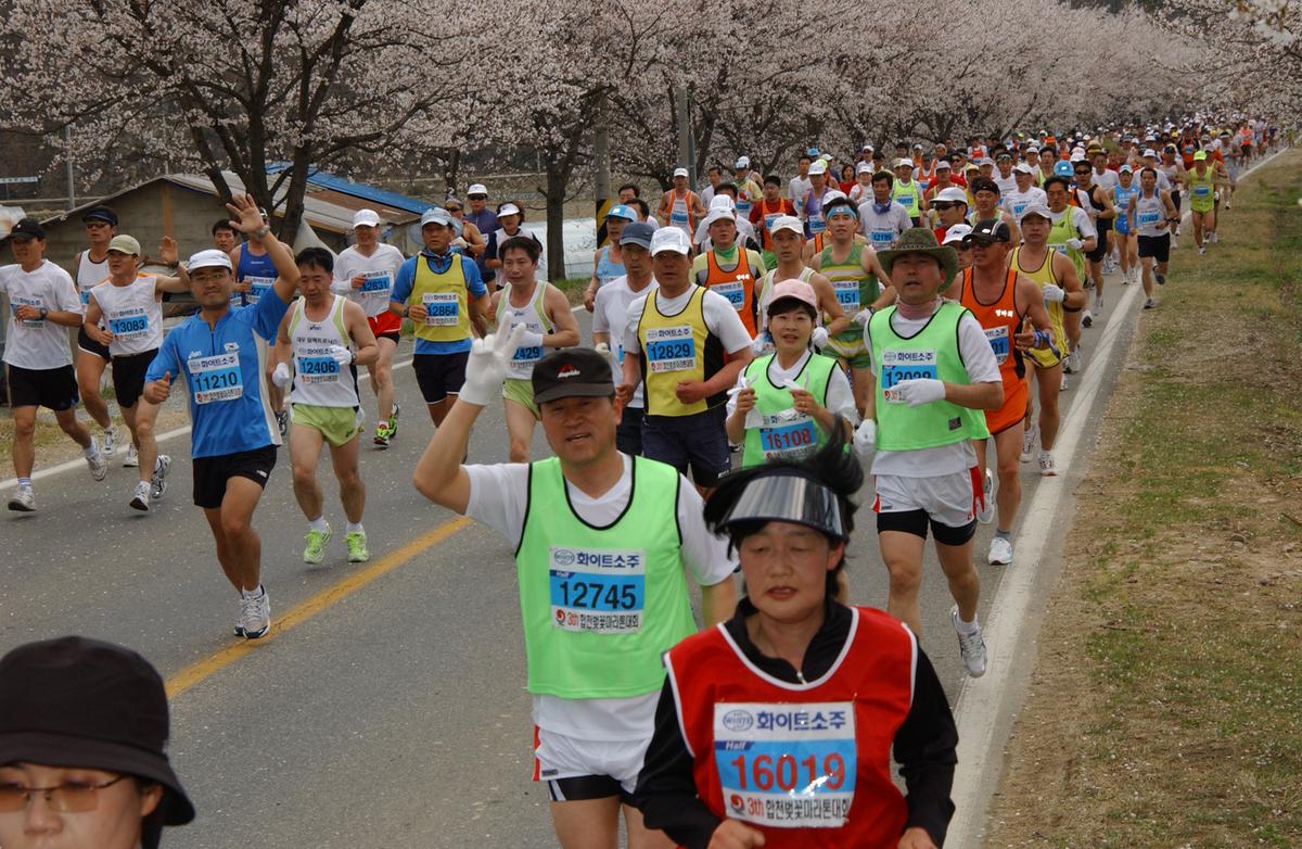 2004년 제3회 합천 벚꽃 마라톤대회(1-3)11