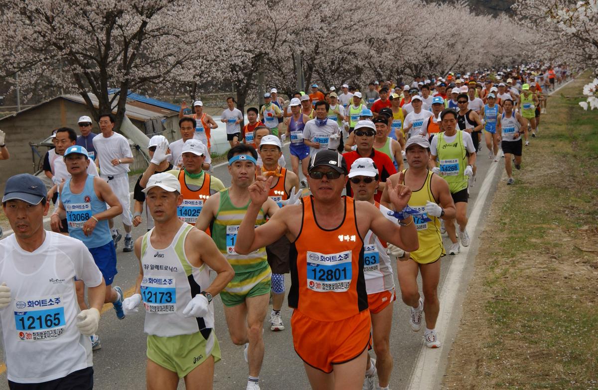 2004년 제3회 합천 벚꽃 마라톤대회(1-3)12