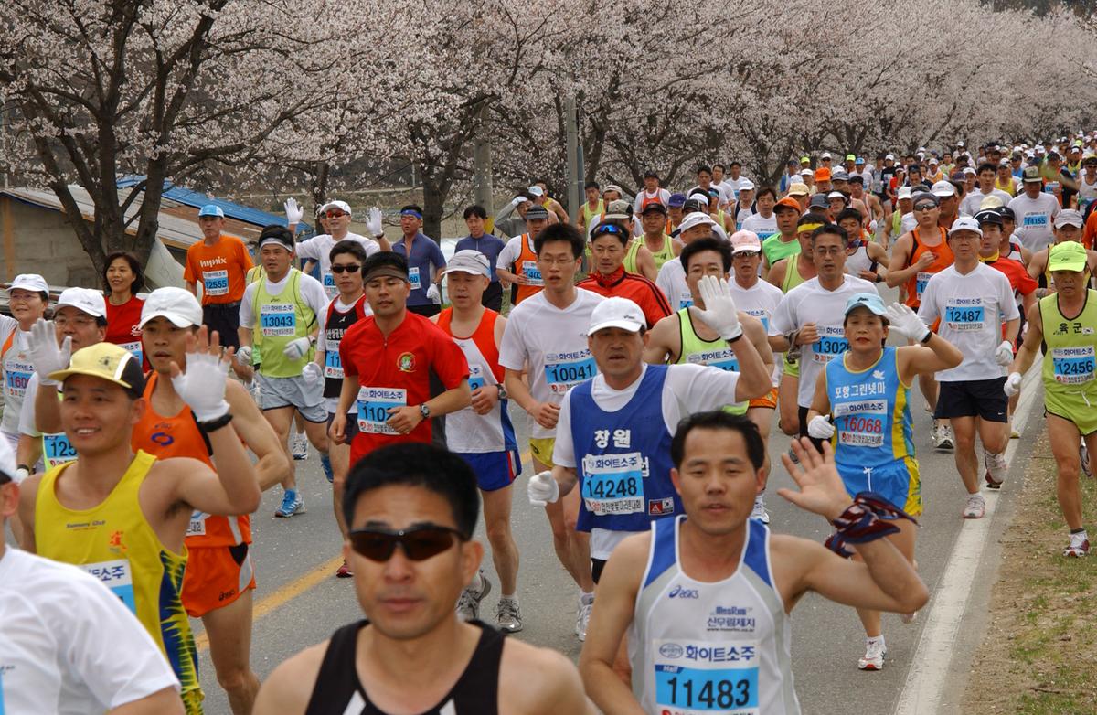 2004년 제3회 합천 벚꽃 마라톤대회(1-3)13