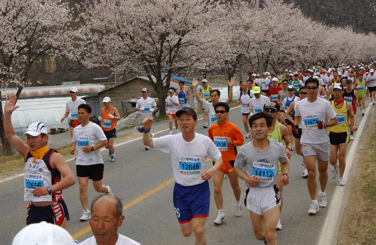 2004년 제3회 합천 벚꽃 마라톤대회(1-3)18