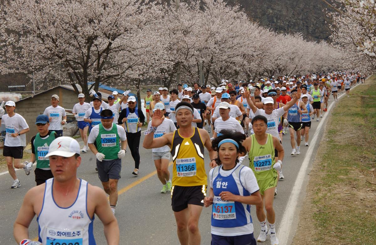 2004년 제3회 합천 벚꽃 마라톤대회(1-3)19