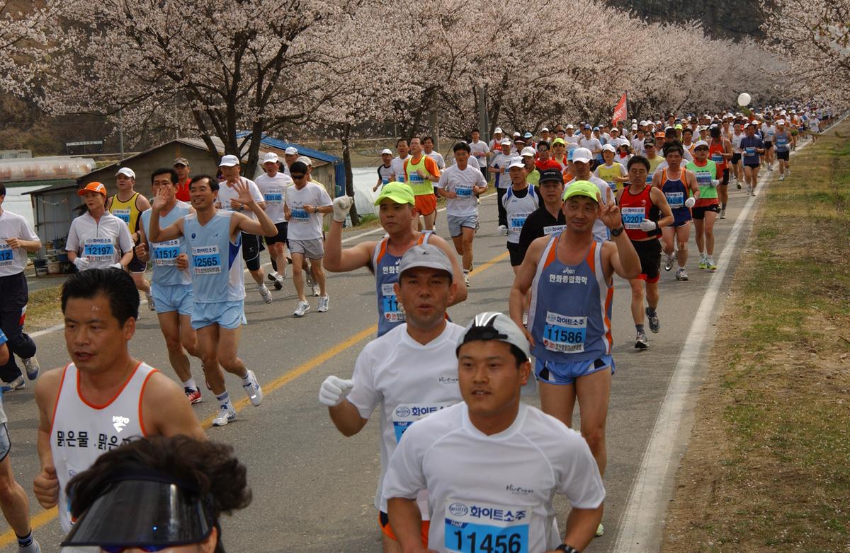 2004년 제3회 합천 벚꽃 마라톤대회(1-3)27